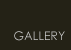 Gallery Gallery